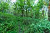5292 Stenner Hill Rd - Photo 52