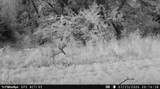 5292 Stenner Hill Rd - Photo 58