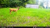 5292 Stenner Hill Rd - Photo 6