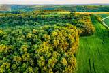5292 Stenner Hill Rd - Photo 60