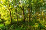 5292 Stenner Hill Rd - Photo 65