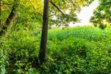 5292 Stenner Hill Rd - Photo 66