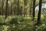 14502 Burrows Ln - Photo 2