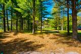5791 Quail Dr - Photo 8