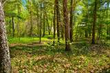 5791 Quail Dr - Photo 9