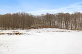 N8569 Rhine Forest Ln - Photo 35