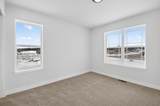 339 York St - Photo 24
