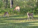 N11024 Deer Lake Rd - Photo 75