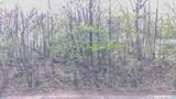Lt1 Thoma Park Dr - Photo 4