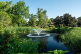 8631 Servite Dr - Photo 4
