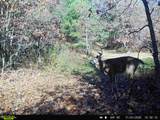 000 Cambridge Rd - Photo 22