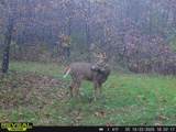 000 Cambridge Rd - Photo 29