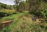 14502 Burrows Ln - Photo 27