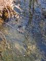 14502 Burrows Ln - Photo 35