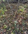 14502 Burrows Ln - Photo 5