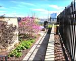 215 Maple St - Photo 13