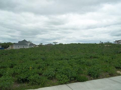 N73W23607 Craven Dr - Photo 1