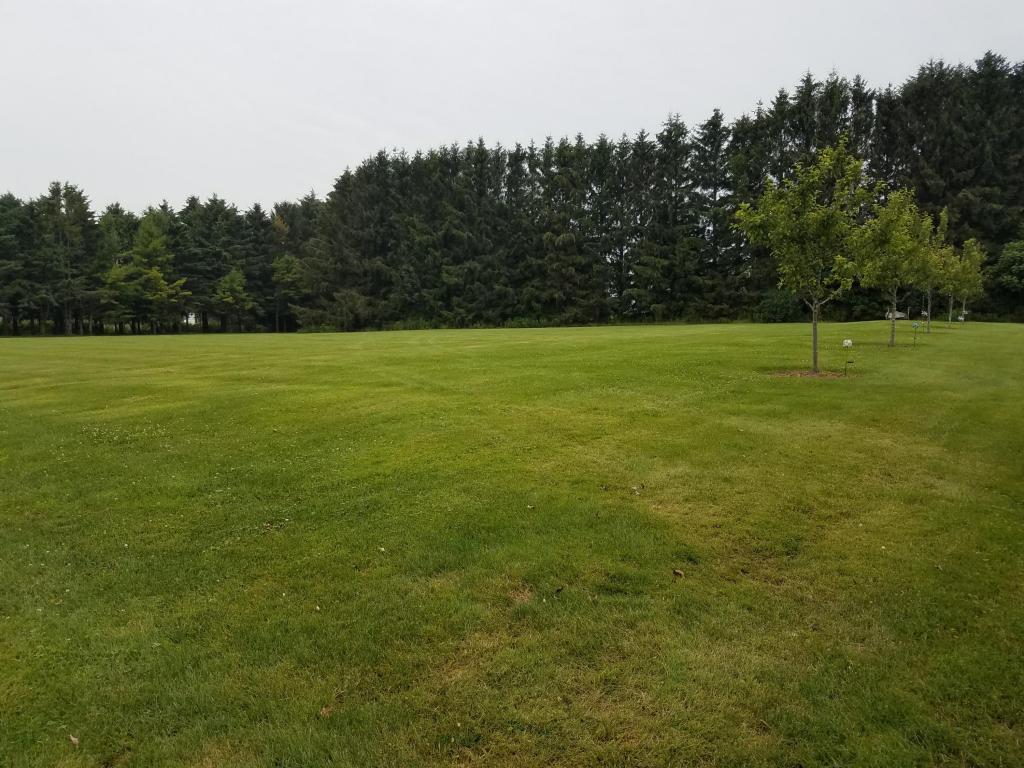 Lt 1 & 2 Lakeshore Dr - Photo 1