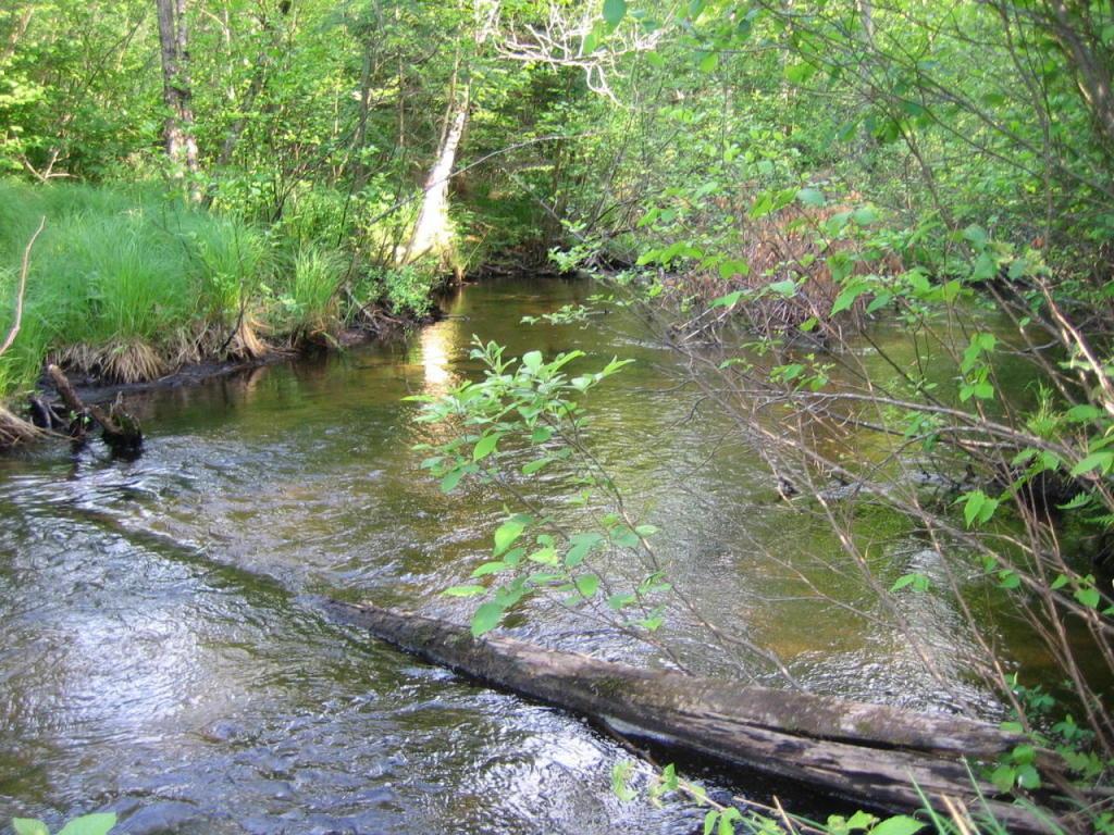 TBD Northwoods Ln - Photo 1
