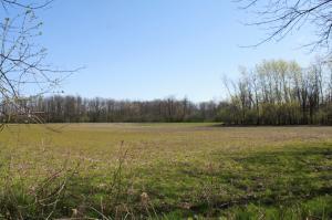 Lt1 Mill Rd - Photo 1