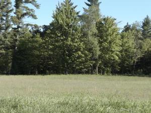 Lt7 Three Rivers Rd - Photo 1