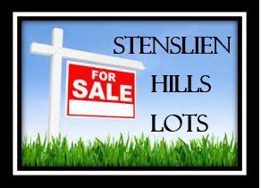 Lot 56 Stenslien Hills - Photo 1