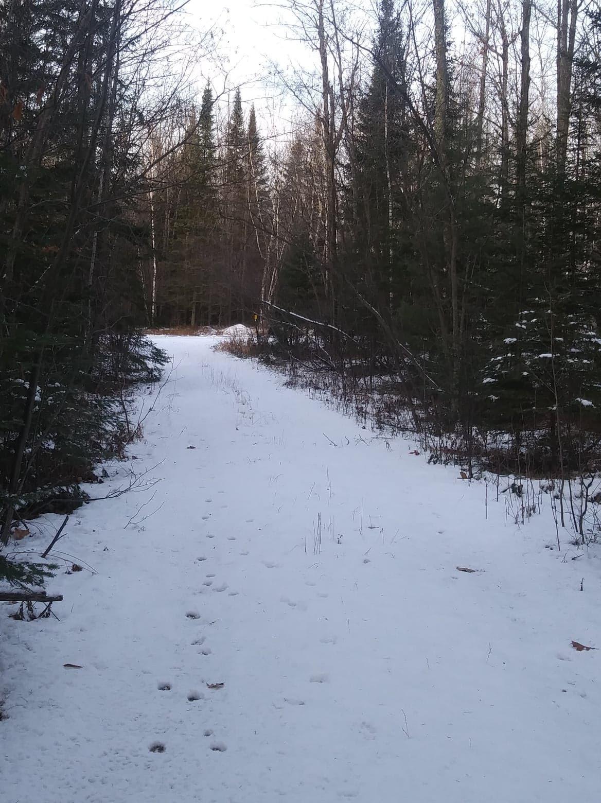 39 Acres Pioneer Rd - Photo 1