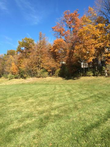 Lt17 Schloemer Dr - Photo 1