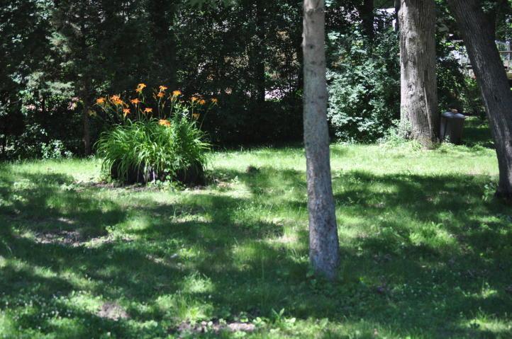 Lt1 Hillcrest Dr - Photo 1