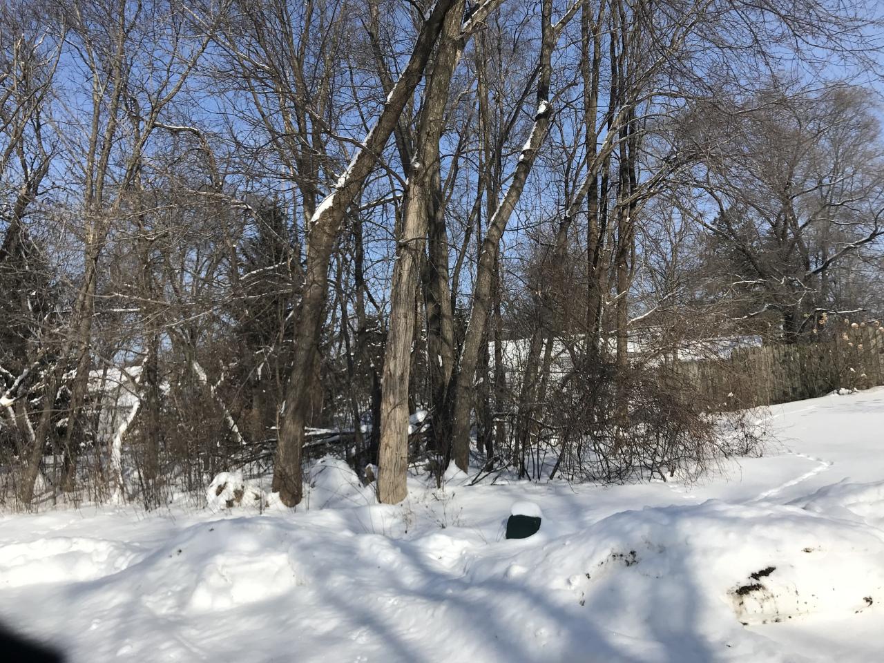 Lt0 Walnut Rd - Photo 1