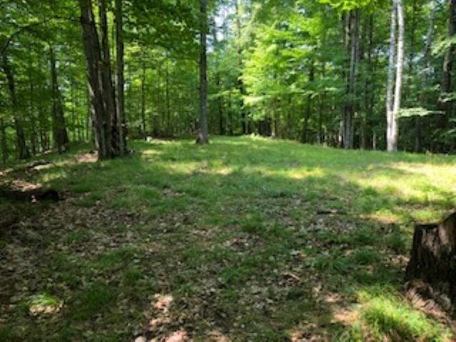 Lt8 Hemlock Shores Ct - Photo 1