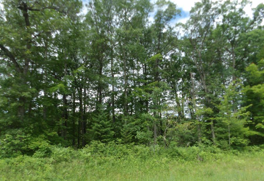 Lot 21 Winchester Trl - Photo 1