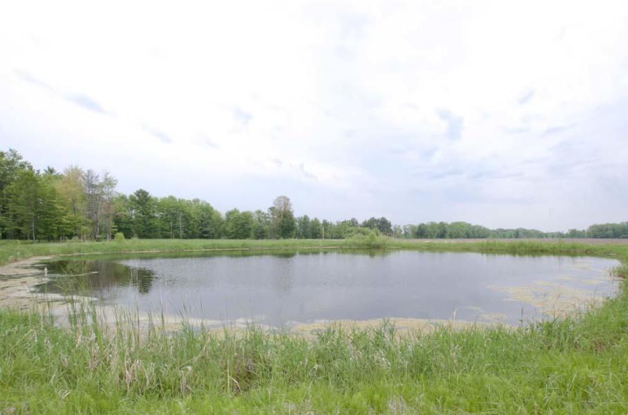 Lt0 Richter Rd - Photo 1