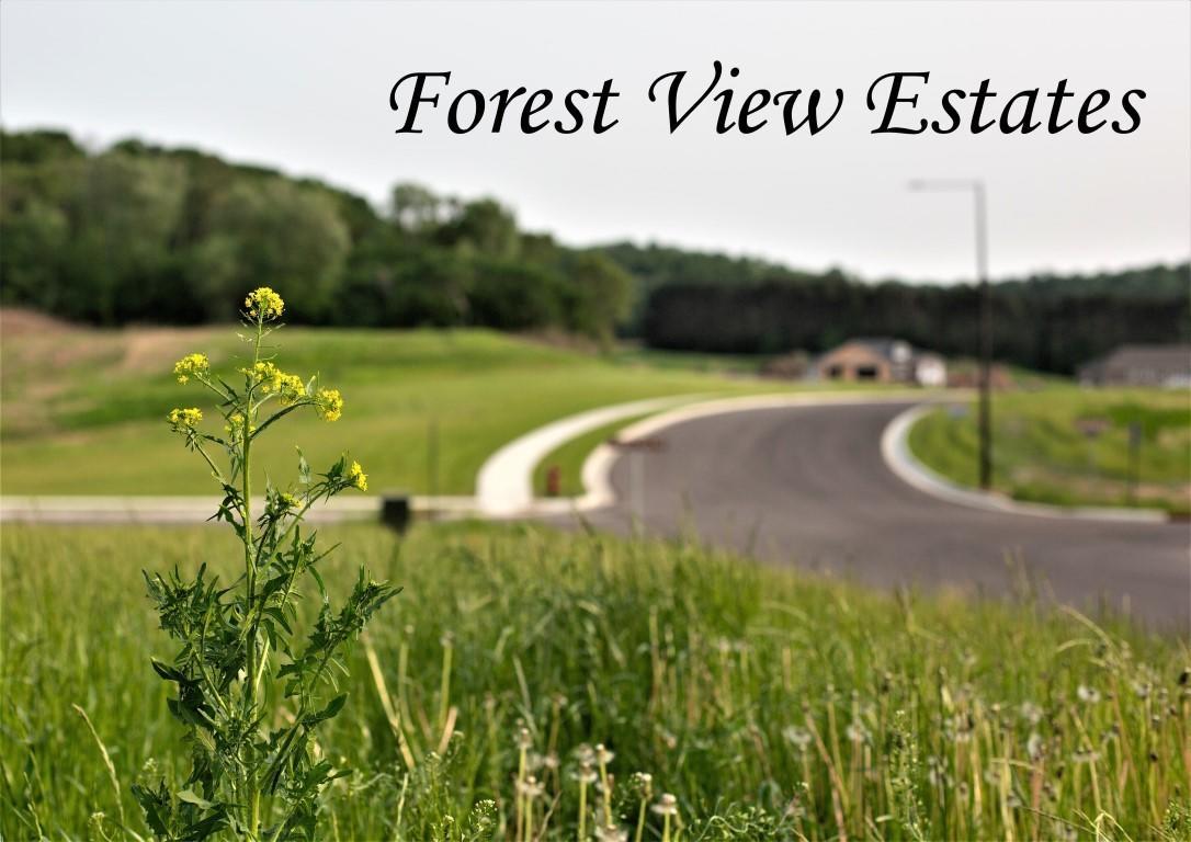 611 Forest View Dr - Photo 1