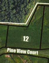 Lt12 Pine View Ct - Photo 1