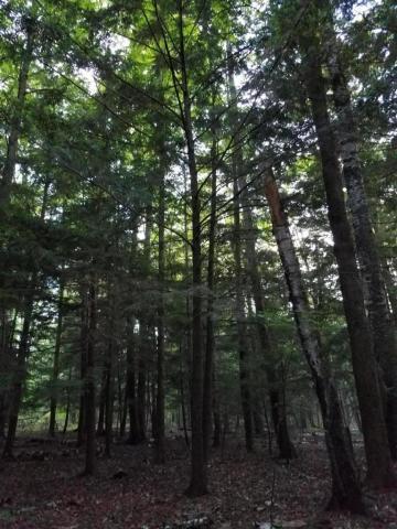 Lt. 9 Parkside Ct. - Photo 1