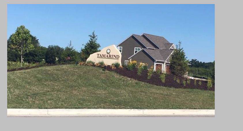 Lot 16 Tamarind Way - Photo 1