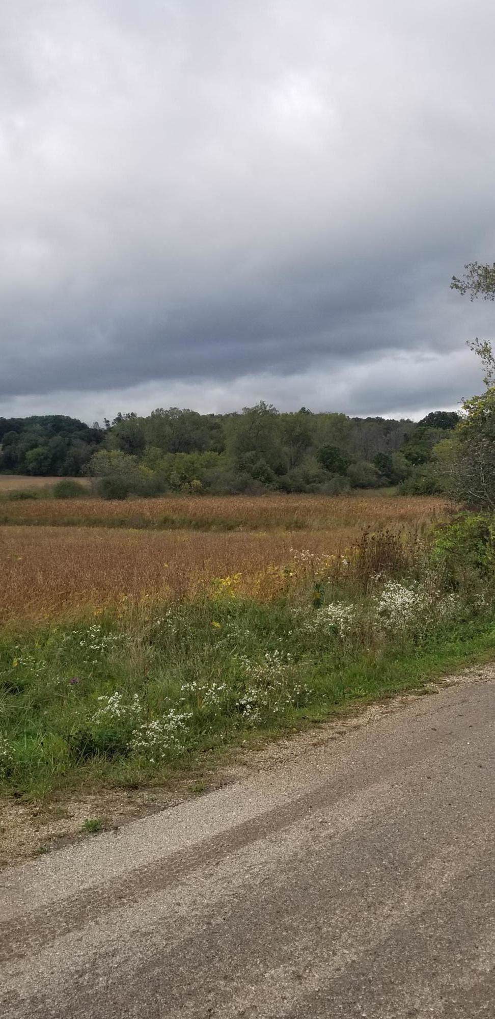 Lt1 County Road H - Photo 1