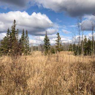 W4424 Birch Creek Rd - Photo 1