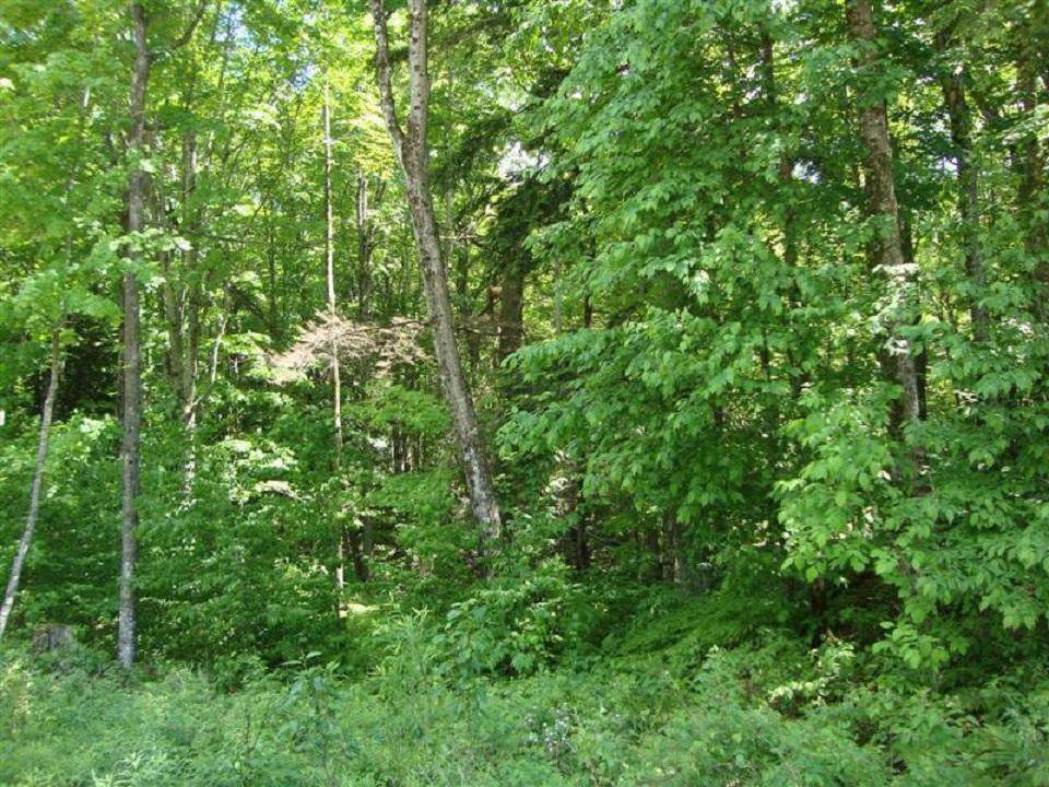 76 Acres Krause Rd & Dahl Rd - Photo 1