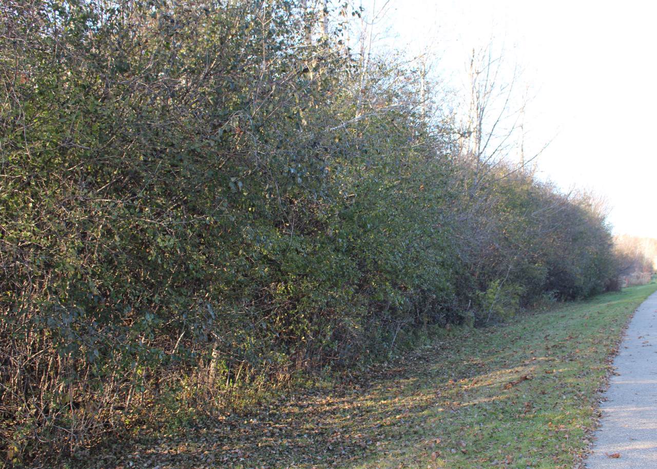 Lt2 Small Farm Rd - Photo 1
