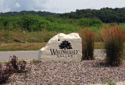 Lot 64 Pinewood Dr - Photo 1