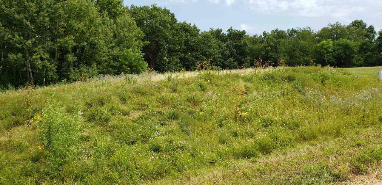 Lt8 Blue Heron Hills - Photo 1