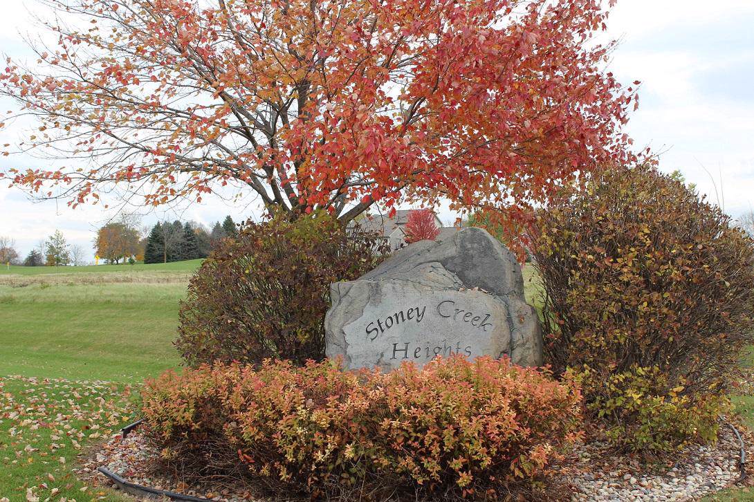 Lt21 Stoney Creek Heights - Photo 1