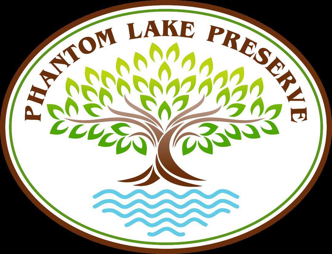 105 Phantom Lake Ct - Photo 1