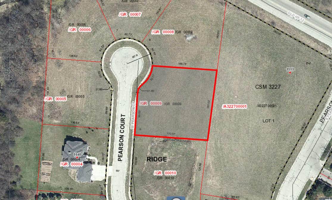 Lt9 Pearson Ct - Photo 1