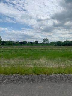Lt33 Beverly Ln - Photo 1