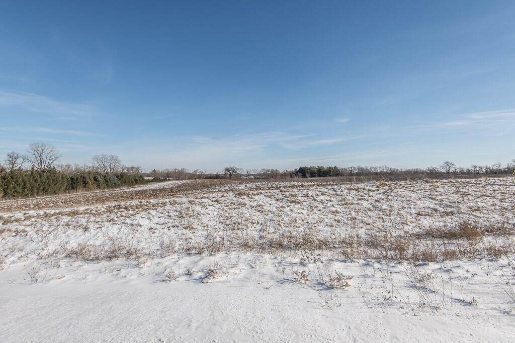 Lt5 Colony Ave - Photo 1