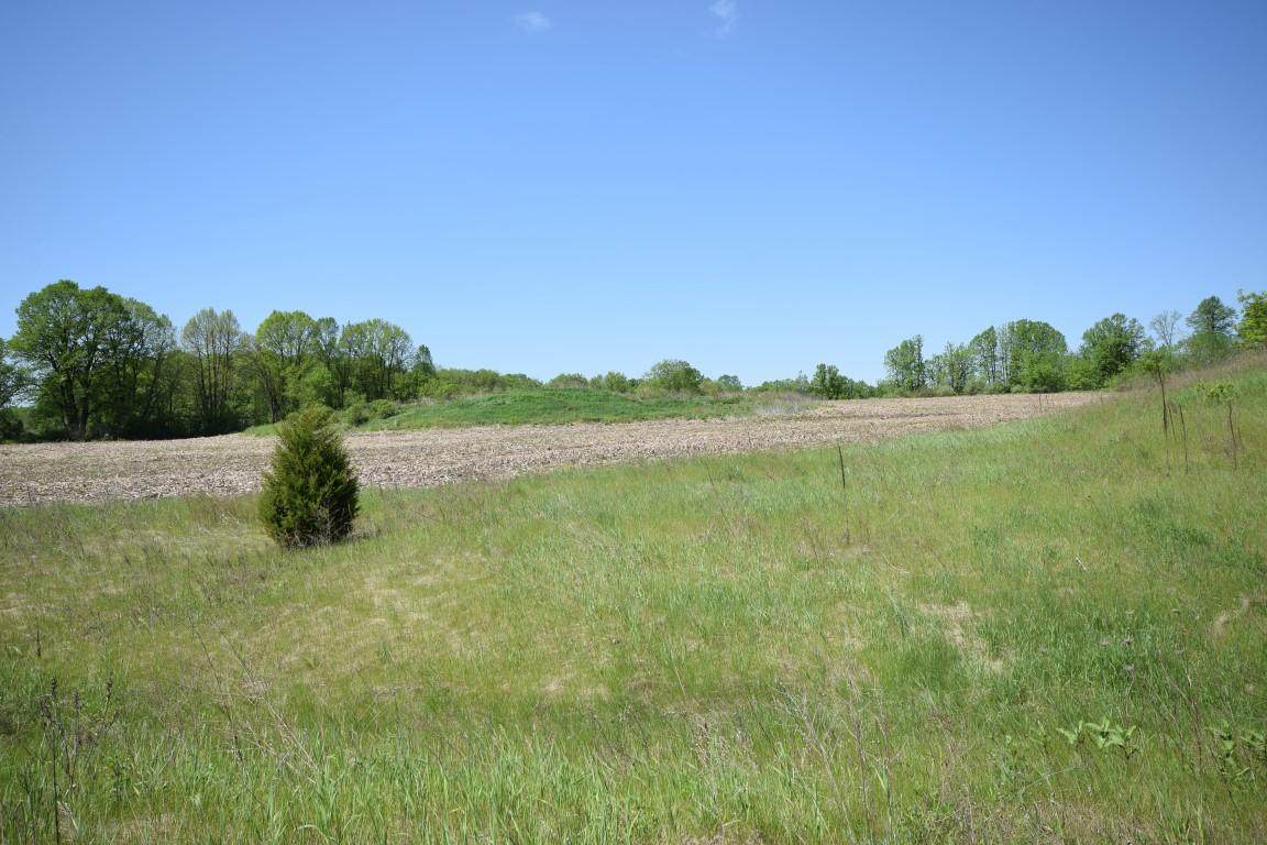 Lt2 Spring Ct - Photo 1