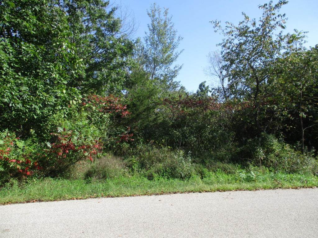 Lt83 Bubbling Springs Dr - Photo 1